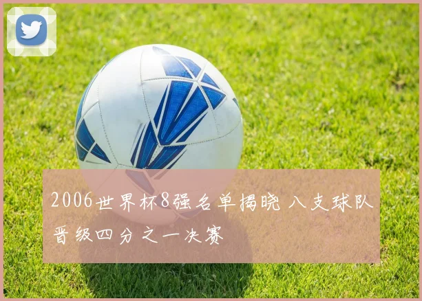2006世界杯8强名单揭晓 八支球队晋级四分之一决赛