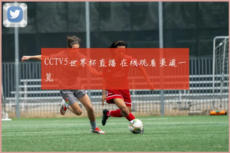 CCTV5世界杯直播 在线观看渠道一览