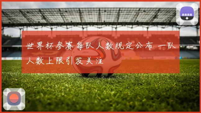 世界杯参赛每队人数规定公布 一队人数上限引发关注
