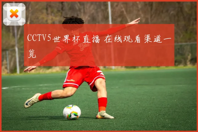 CCTV5世界杯直播 在线观看渠道一览