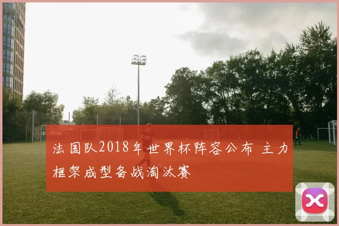 法国队2018年世界杯阵容公布 主力框架成型备战淘汰赛
