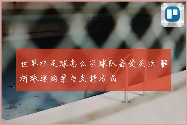 世界杯足球怎么买球队备受关注 解析球迷购票与支持方式