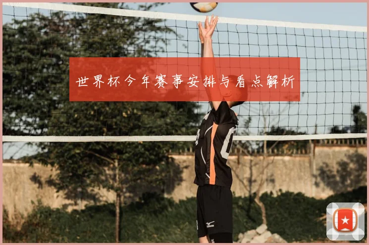 世界杯今年赛事安排与看点解析