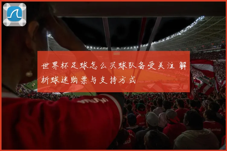 世界杯足球怎么买球队备受关注 解析球迷购票与支持方式