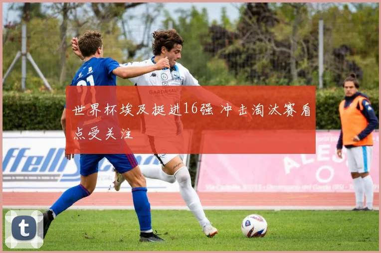 世界杯埃及挺进16强 冲击淘汰赛看点受关注