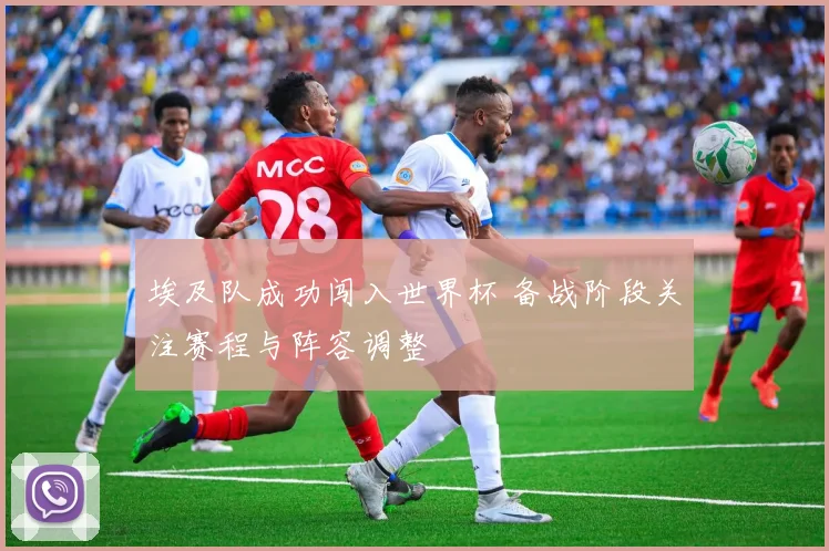 埃及队成功闯入世界杯 备战阶段关注赛程与阵容调整